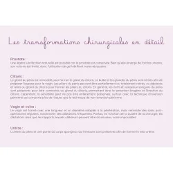 Schéma anatomique...