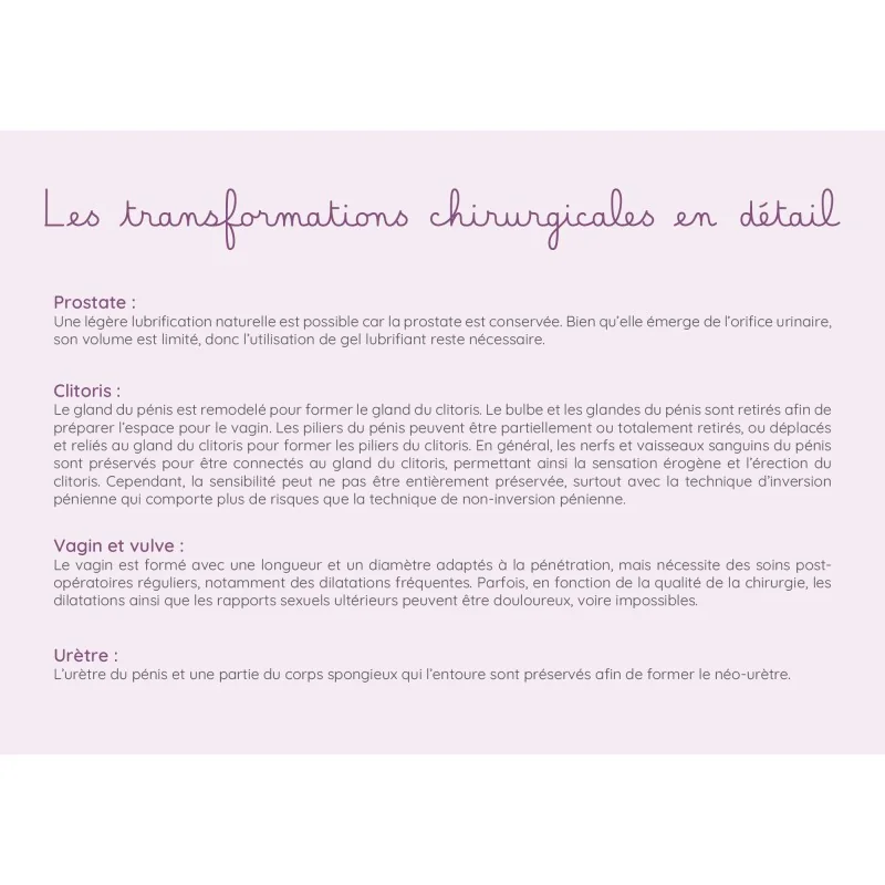 Schéma anatomique Réassignation chez une femme trans