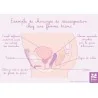 Schéma anatomique Réassignation chez une femme trans