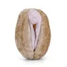 Modèle anatomique intersexué Vulve + Vagin avec grand clitoris en peluche